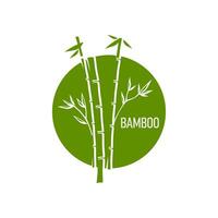 asiatisch Bambus Grün Emblem zum Spa Massage, Schönheit vektor