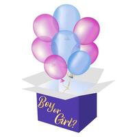 rosa och blå ballonger flyga ut av de låda. fest för de förväntas bebis. pojke eller flicka. vektor