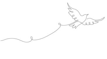 ett kontinuerlig linje teckning av en flygande duva, bakgrund. fågel symbol av fred och frihet i enkel linjär stil. vektor