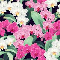 nahtlos Muster mit Rosa und lila Orchideen und tropisch Laub vektor