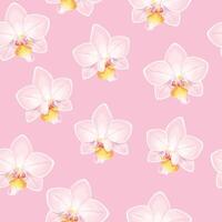Rosa und Weiß Orchideen nahtlos Muster auf Licht Rosa Hintergrund vektor