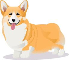 Corgi Rasse Hund vektor