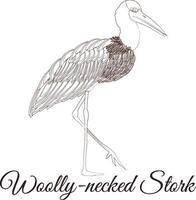 ullhalsad stork tecknad serie fågel färg illustration vektor