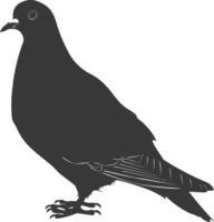 ai generiert Silhouette Taube Vogel Tier schwarz Farbe nur voll Körper vektor