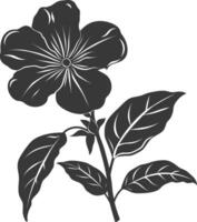Silhouette Immergrün Blume schwarz Farbe nur vektor