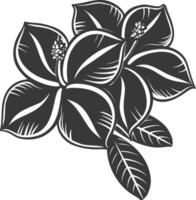 Silhouette Plumeria Blume schwarz Farbe nur vektor