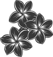 Silhouette Plumeria Blume schwarz Farbe nur vektor