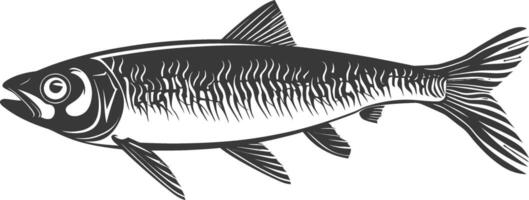 Silhouette Sardine Fisch Tier schwarz Farbe nur voll Körper vektor