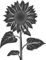 silhuett solros blomma svart Färg endast vektor
