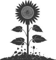 silhuett solros blomma i de jord svart Färg endast vektor