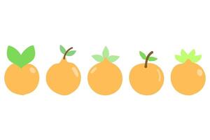 enkel orange frukt ikon uppsättning vektor