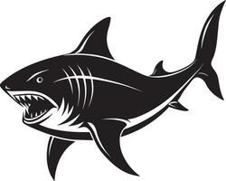 haj - svart och vit illustration - isolerat på vit bakgrund vektor