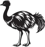 Emu Silhouette - - schwarz und Weiß Illustration. vektor