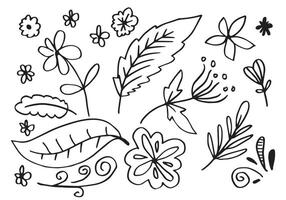 eine Sammlung handgezeichneter Blumenbilder wie Glockenblumen, Chrysanthemen, Sonnenblumen, Baumwollblumen und tropische Blätter vektor