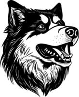 Alaska Malamute, schwarz und Weiß Illustration vektor