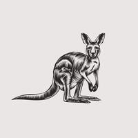 känguru illustration design vit bakgrund vektor