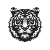 tiger huvud illustration design vit bakgrund vektor