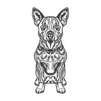 Hund Illustration Design Vorlage Weiß Hintergrund vektor