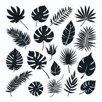 exotisk blad uppsättning samling av tropisk löv silhuett vektor