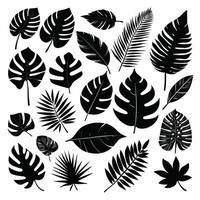 exotisch Blatt einstellen Sammlung von tropisch Blätter Silhouette vektor