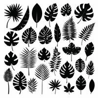 exotisk blad uppsättning 2d samling av tropisk löv silhuett vektor