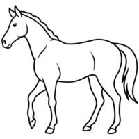 Pferd Abbildungen - - Ideal zum Pferdesport Marke, Kunst Drucke, und Bauernhaus Dekor vektor