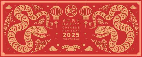 glücklich Chinesisch Neu Jahr 2025 das Schlange Tierkreis Zeichen mit Blume, Laterne, asiatisch Elemente Schlange Logo rot und Gold Papier Schnitt Stil auf Farbe Hintergrund. glücklich Neu Jahr 2025 Jahr von das Schlange. vektor