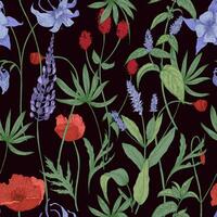 elegant botanisch nahtlos Muster mit wild Blumen und Kräuter auf schwarz Hintergrund - - Feld Mohn, Lupine, großartig Burnett, Omas Motorhaube, Pfefferminze. Blumen- Illustration im Antiquität Stil. vektor