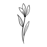 Hand gezeichnet Baum Blatt Zweig Blumen- Element Illustration vektor