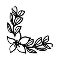 Gekritzel Blumen- dekorativ Grenze, Rahmen und Ecke mit Pflanze Blume vektor