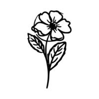 ritad för hand blomma och löv vektor