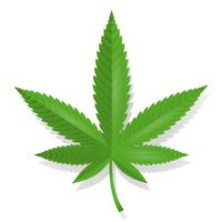 Cannabis-Blatt-Symbol vektor
