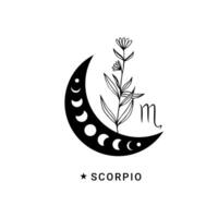 scorpio zodiaken tecken med måne fas och blomma vektor