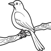 skata flygande fågel för barn. färg bok. fågel illustration. skata färg sidor vektor