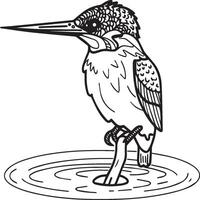 Eisvogel Färbung Buchseite. ein schwarz und Weiß Zeichnung von Eisvogel vektor