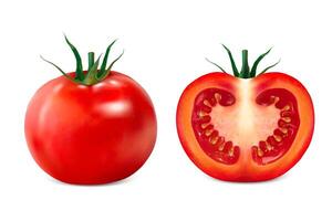 köstlich geschnitten Tomate 3d Illustration auf Weiß Hintergrund vektor