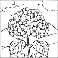 Hortensie Färbung Seiten. Hortensie Blume Gliederung zum Färbung Buch vektor
