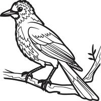 skata flygande fågel för barn. färg bok. fågel illustration. skata färg sidor vektor