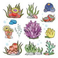 marin uppsättning, anemoner, alger och korall i en enkel tecknad serie stil. Färg grafik för böcker och affischer. barn guider vektor
