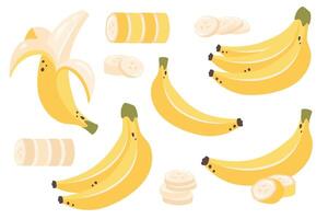 einstellen von Bananen isoliert auf Weiß Hintergrund. Banane Bündel, Banane schälen, Scheiben. Süss tropisch exotisch Frucht. gesund Vegetarier organisch Lebensmittel. Illustration vektor