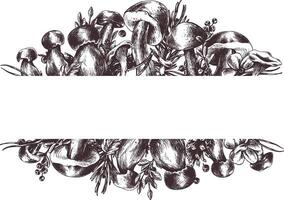 Wald Pilze, Steinpilze, Pfifferlinge und Blaubeeren, Preiselbeeren, Zweige, Zapfen, Blätter. Grafik Illustration Hand gezeichnet im schwarz Tinte. rahmen, Grenze, Vorlage eps . vektor