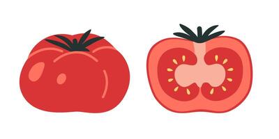 rot Tomate, Hälfte und ganze Gemüse, Karikatur Stil. modisch modern Illustration isoliert auf Weiß Hintergrund, Hand gezeichnet, eben Design vektor