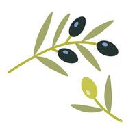 Grün und lila Olive Zweig, Karikatur Stil. Illustration isoliert auf Weiß Hintergrund, Hand gezeichnet, eben Design vektor