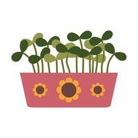 Sonnenblume Microgreens im ein Container, gesund Essen Sprossen, Karikatur Stil. modisch modern Illustration isoliert auf Weiß Hintergrund, Hand gezeichnet, eben Design vektor