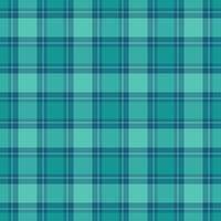 mönster textur kolla upp av textil- bakgrund tyg med en sömlös pläd tartan. vektor