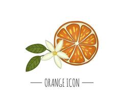 Vektor farbige Illustration von Orange auf weißem Hintergrund. Zitrus-Symbol. Frucht Konzept. frische Lebensmittelillustration.