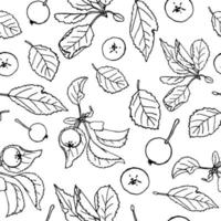 Vektor nahtlose Muster von schwarz-weißen handgezeichneten Äpfeln. Herbst wiederholen Muster. Herbst Hintergrund. monochrome Darstellung von Paradiesäpfeln mit Blättern