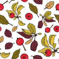 Vektor nahtlose Muster von farbigen handgezeichneten Äpfeln. Herbst wiederholen Muster. Herbst Hintergrund. Illustration von Paradiesäpfeln mit Blättern