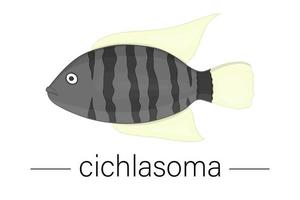 Vektor farbige Illustration von Aquarienfischen. süßes Bild von Cichlasoma für Tierhandlungen oder Kinderillustration