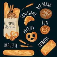 Bäckerei Produkte Vorlage. einstellen von Illustrationen. ganze Getreide, Weizen, Roggen, Stangenbrot, Croissant, Brötchen, Bagel und Ohren. vektor